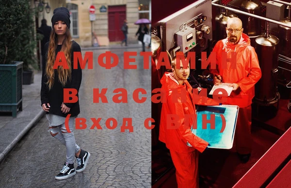 прущие грибы Алзамай