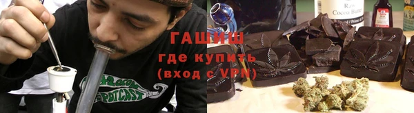 прущие грибы Алзамай