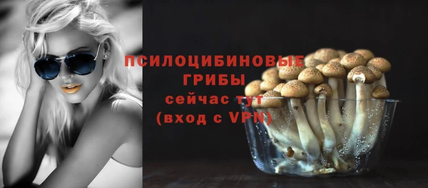 прущие грибы Алзамай