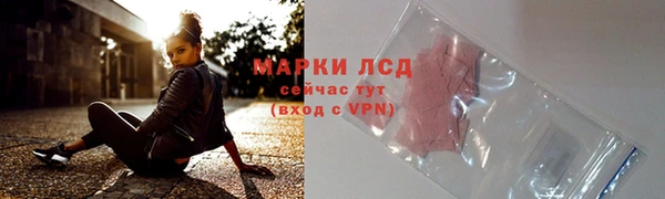 прущие грибы Алзамай