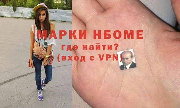 прущие грибы Алзамай