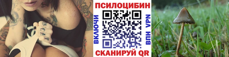 Псилоцибиновые грибы MAGIC MUSHROOMS  Заполярный 
